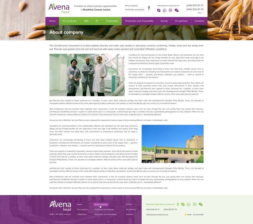 дизайн внутрішніх сторінкок на тему Продукти харчування — Корпоративний сайт компанії "Avena" 1