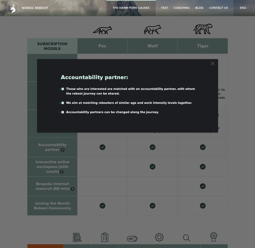 дизайн внутрішніх сторінкок на тему Бізнес і компанії — Односторінковий сайт сайт Nordic Reboot 6